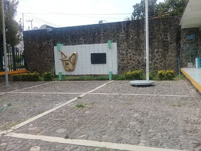 Unidad de Medicina Familiar 3