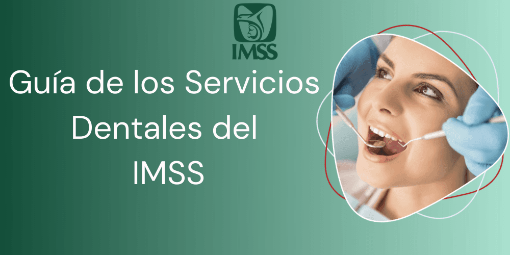 Guía de los Servicios Dentales del IMSS
