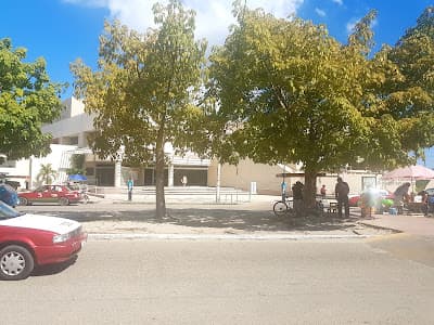Unidad de Medicina Familiar N° 12