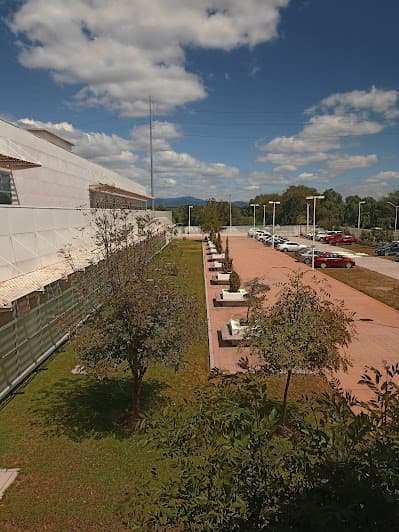 IMSS UMF 177