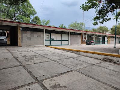 IMSS Clínica 28