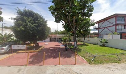 IMSS UMF 29
