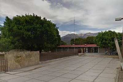UMF 29 IMSS