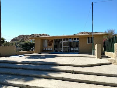 IMSS UMF 29