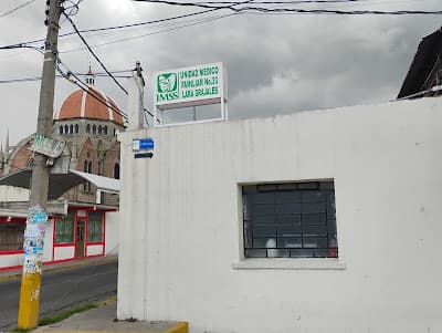 IMSS Clínica 33
