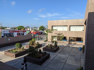 IMSS U.M.F. 58 MÉRIDA