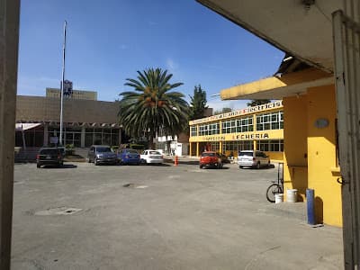 IMSS UMF 59