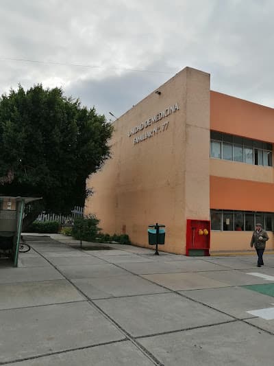 UMF IMSS 77