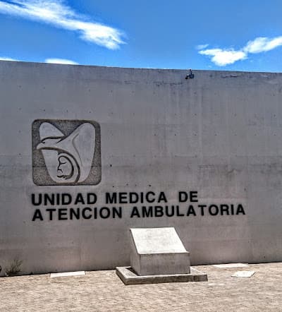 UMF/UMAA #89 IMSS