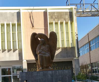Hospital General de Zona No. 11 IMSS