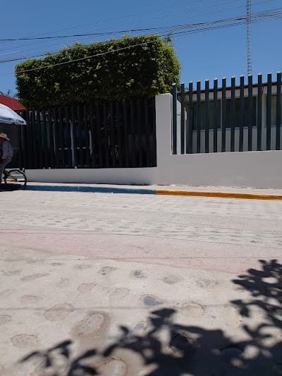 IMSS HGSZ No. 15