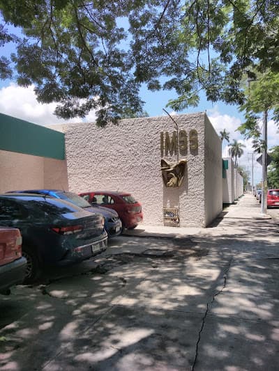 IMSS HGSMF 3 MOTUL
