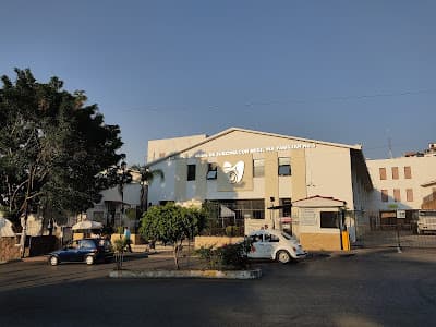 HGSMF 5