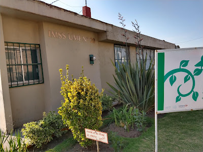 clinica-20-imss-tlaxcala clinica